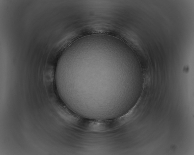 X0000093610174200710221614