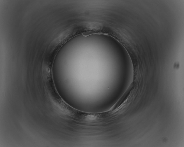 X0000093610176200710221614