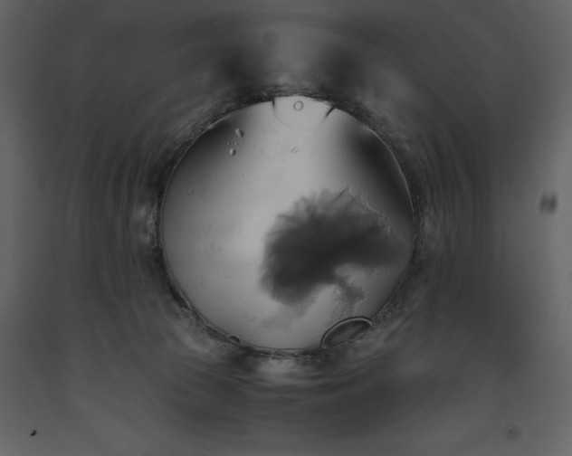 X0000093610177200710221614