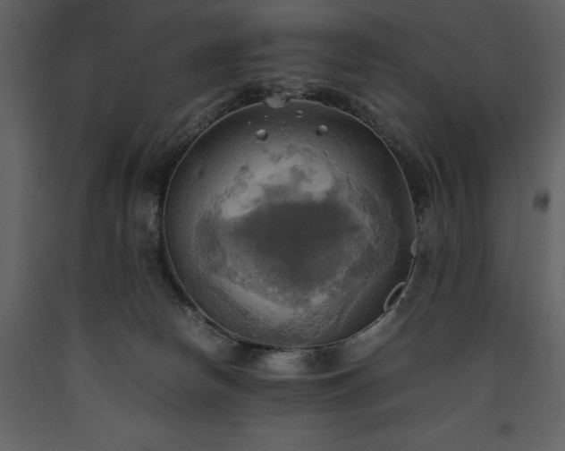 X0000093610178200710221614