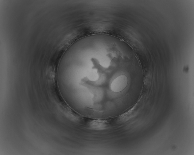 X0000093610179200710221614