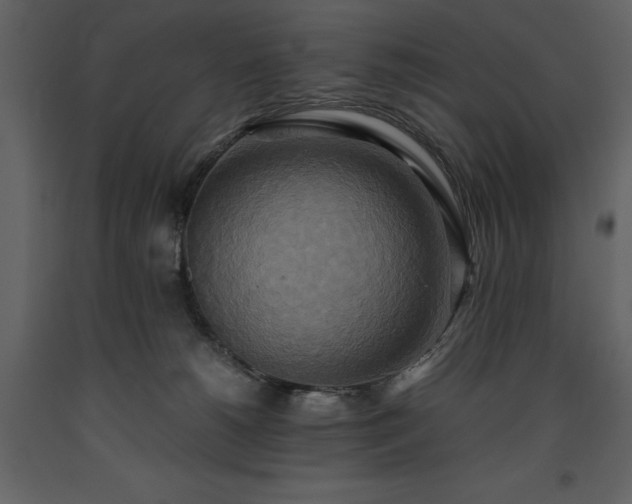 X0000093610180200710221614