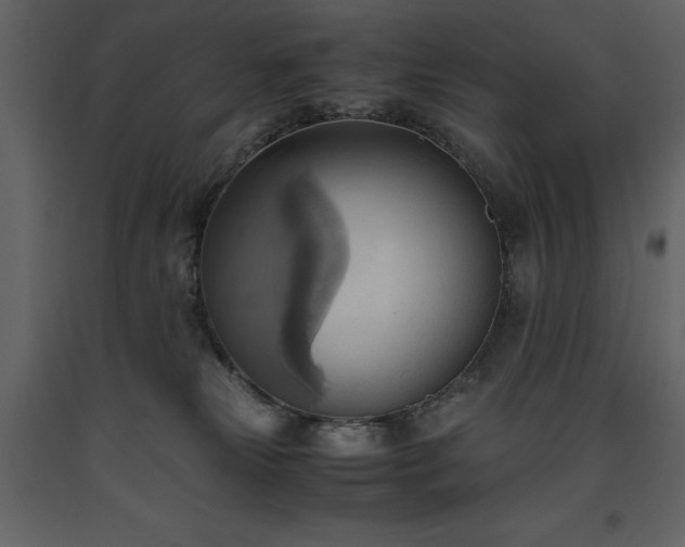 X0000093610181200710221614