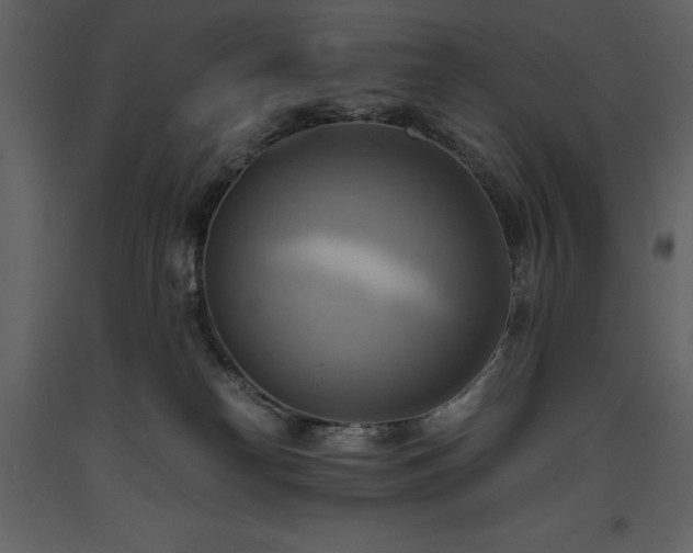 X0000093610182200710221614
