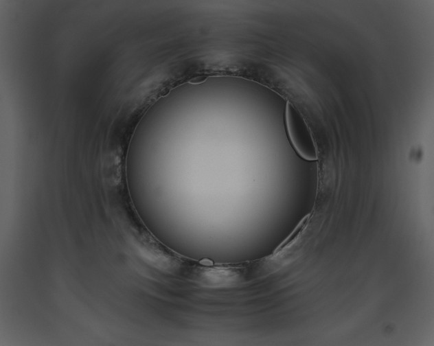 X0000093610183200710221614
