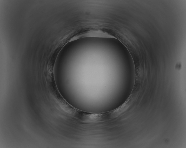 X0000093610184200710221614