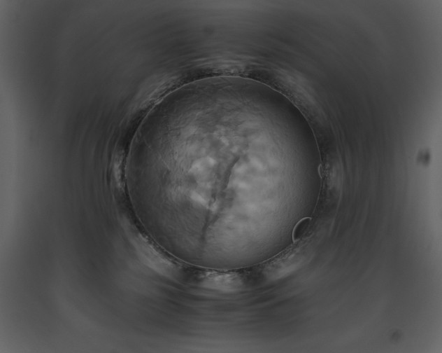 X0000093610185200710221614