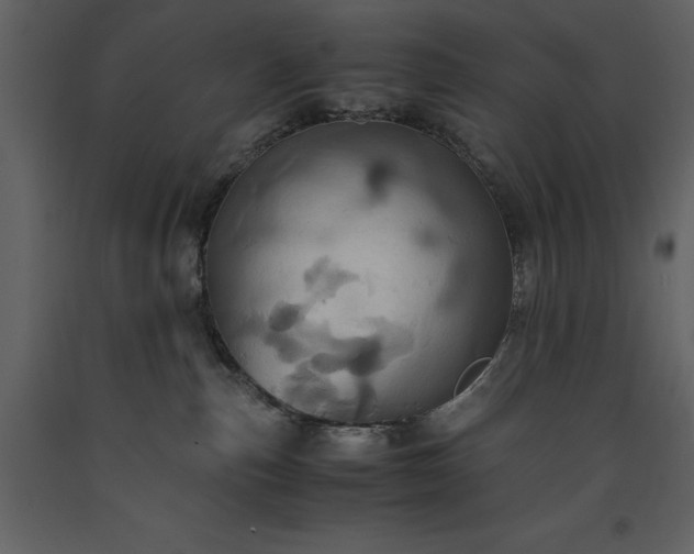 X0000093610187200710221614