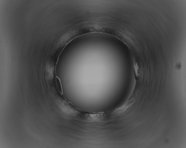 X0000093610188200710221614