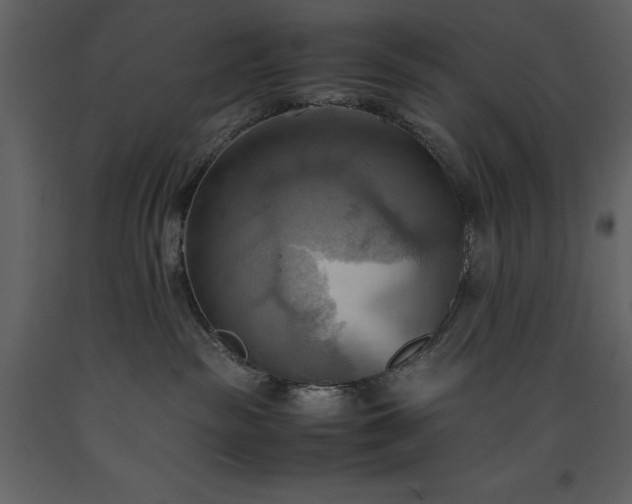 X0000093610189200710221614