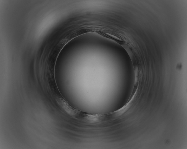 X0000093610190200710221614