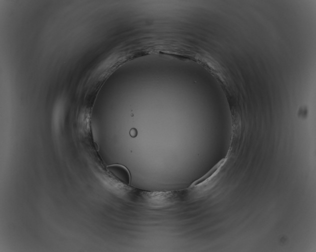 X0000093610191200710221614