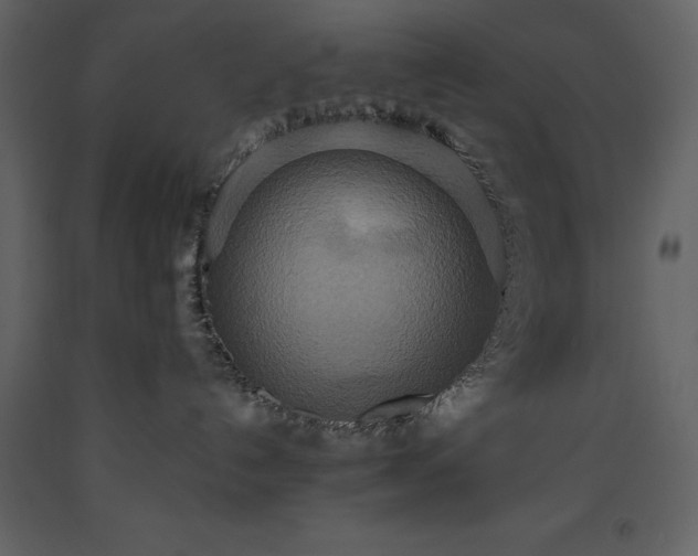X0000093610192200710221615
