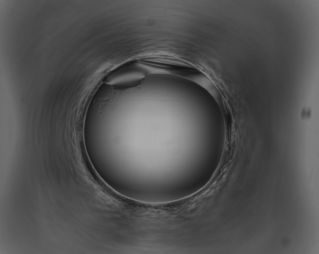 X0000093610193200710221614