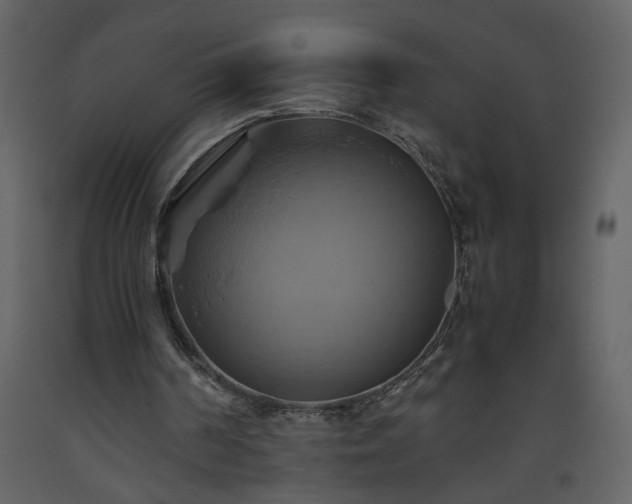 X0000093610194200710221614