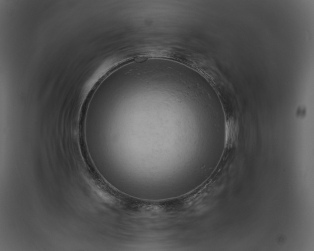 X0000093610195200710221614