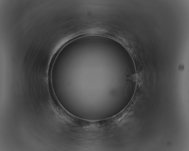 X0000093610196200710221614