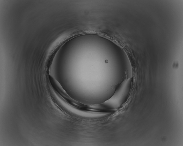 X0000093610197200710221614