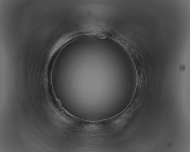 X0000093610198200710221614