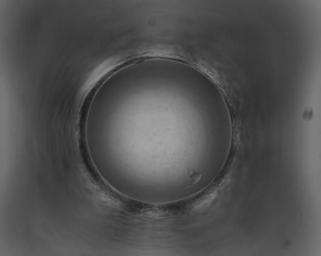 X0000093610199200710221614