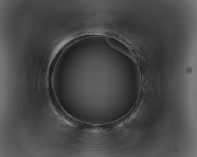 X0000093610200200710221614