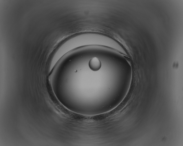 X0000093610203200710221614