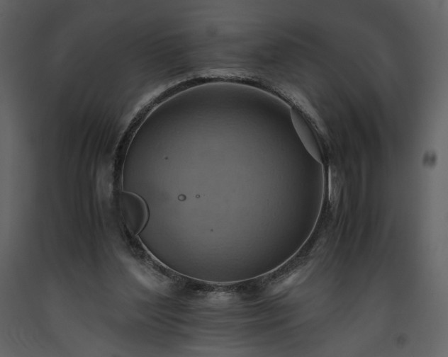 X0000093610204200710221614