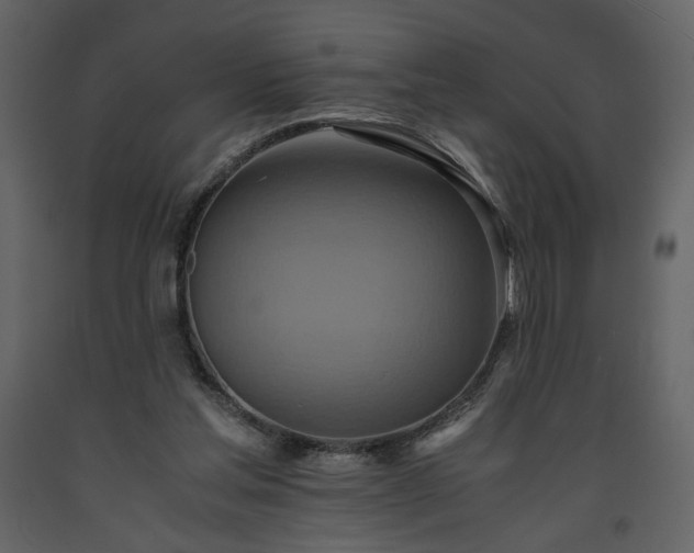 X0000093610205200710221614