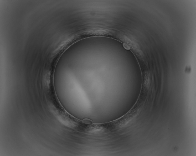 X0000093610206200710221614