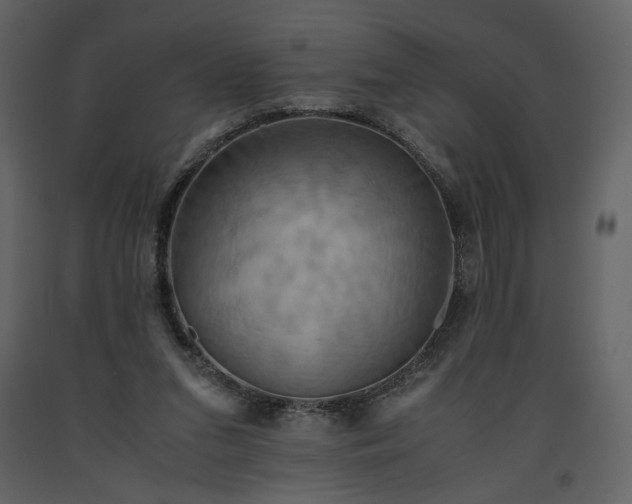 X0000093610207200710221614