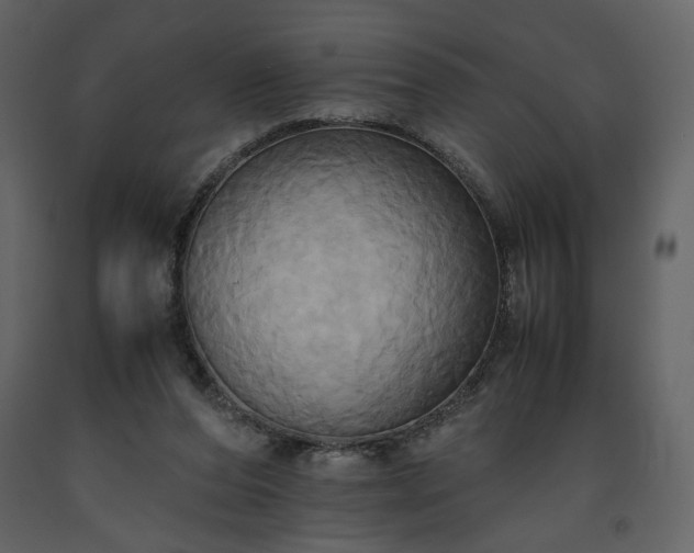X0000093610208200710221614