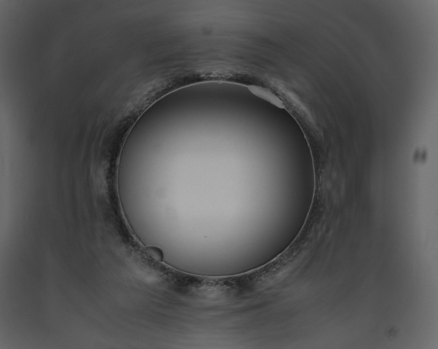 X0000093610209200710221614