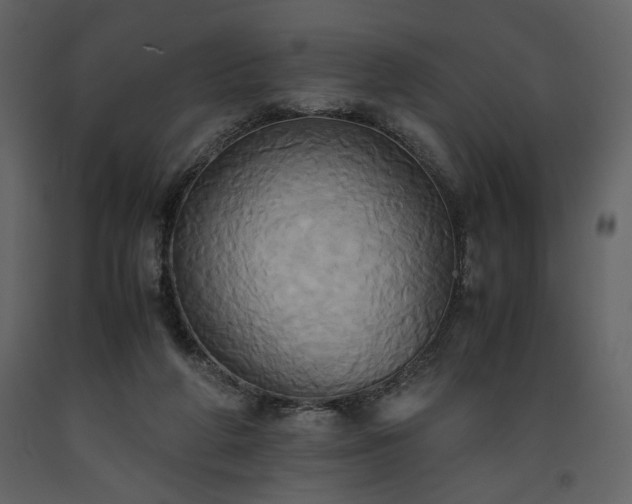 X0000093610210200710221614