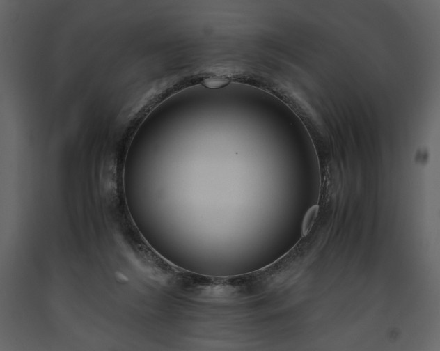 X0000093610212200710221614