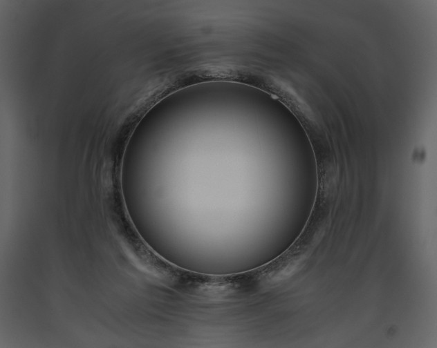 X0000093610213200710221614