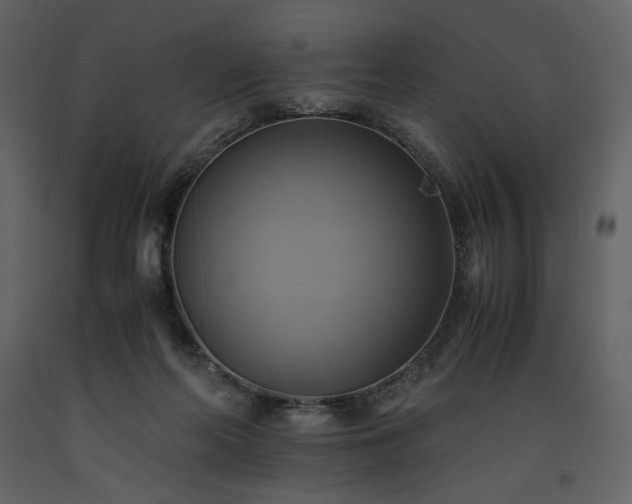 X0000093610214200710221614
