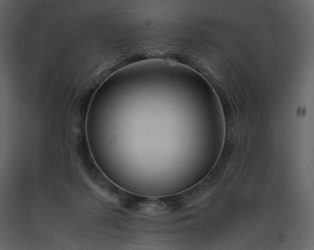 X0000093610215200710221614