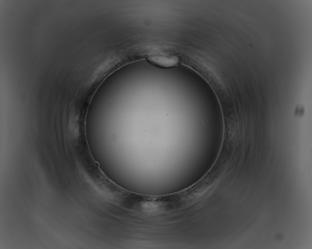 X0000093610216200710221614