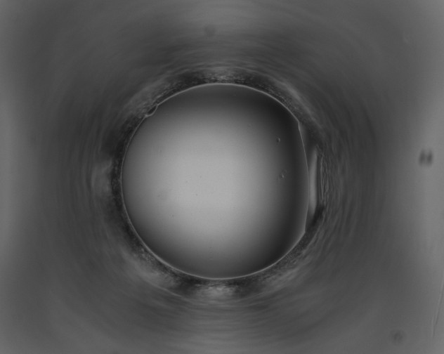 X0000093610217200710221614