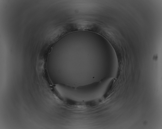 X0000093610219200710221614