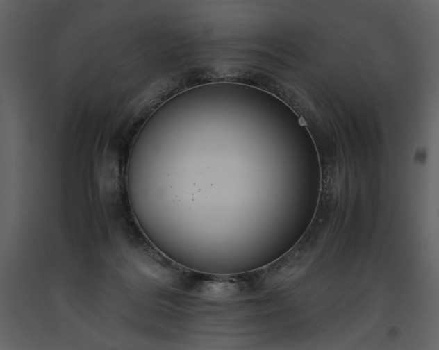 X0000093610220200710221614