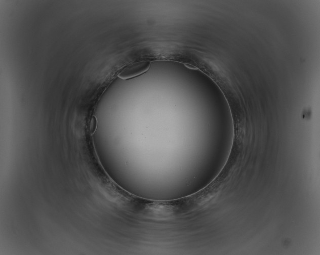 X0000093610221200710221613