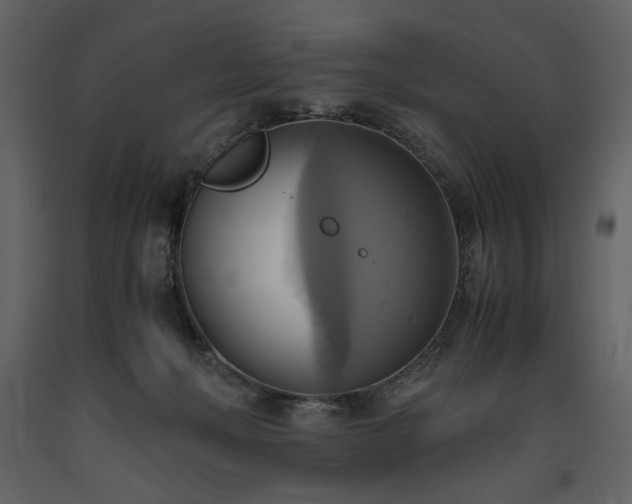 X0000093610222200710221613