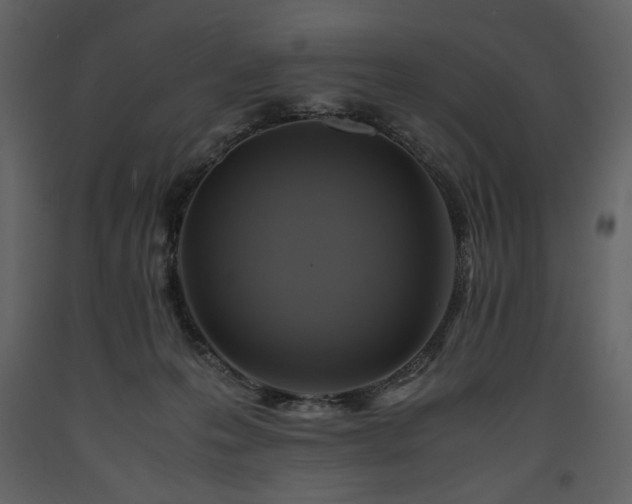 X0000093610223200710221613