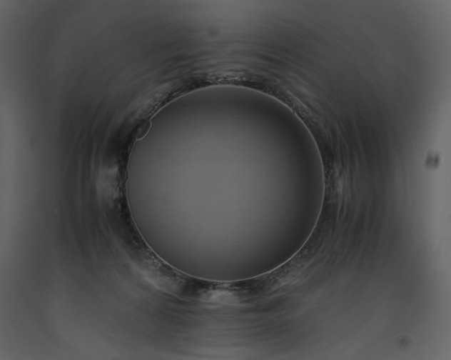 X0000093610224200710221613
