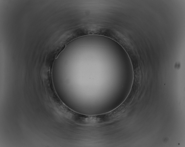 X0000093610225200710221613