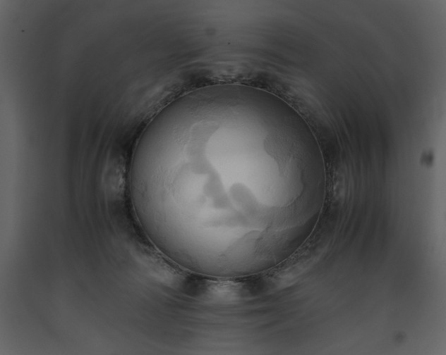 X0000093610226200710221613