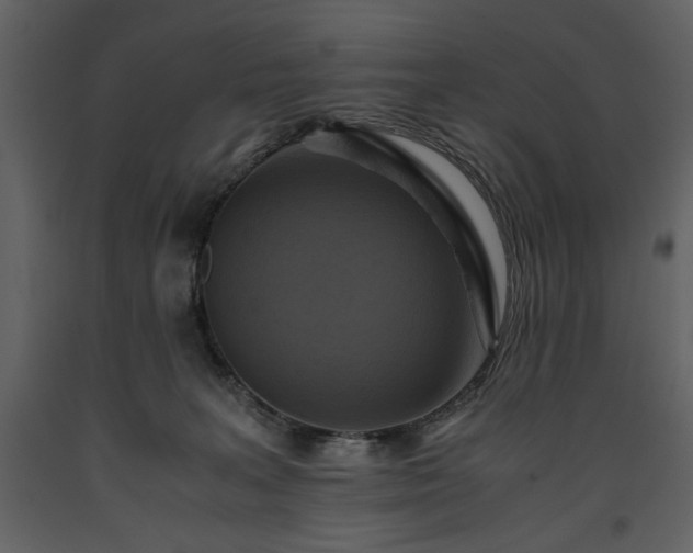 X0000093610227200710221613