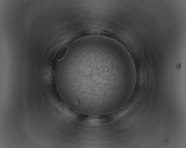 X0000093610228200710221613