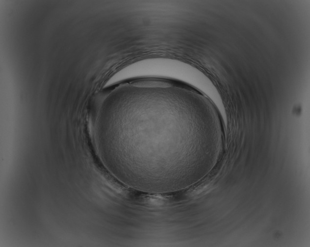 X0000093610229200710221613